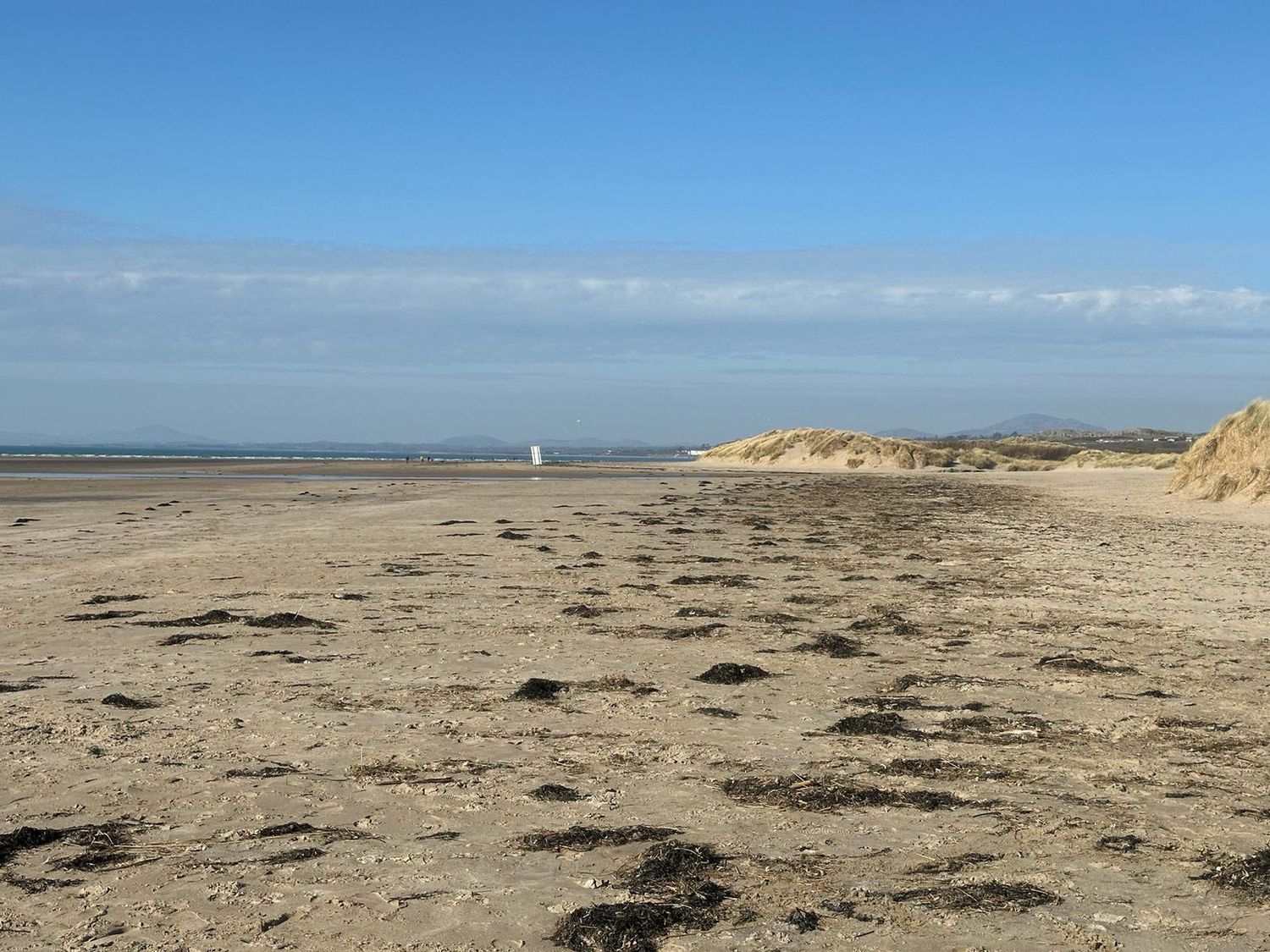 Blackrock Gem, Morfa Bychan