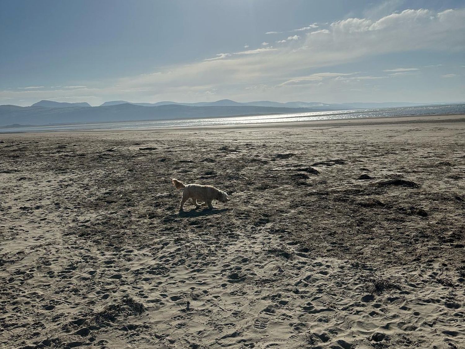 Blackrock Gem, Morfa Bychan