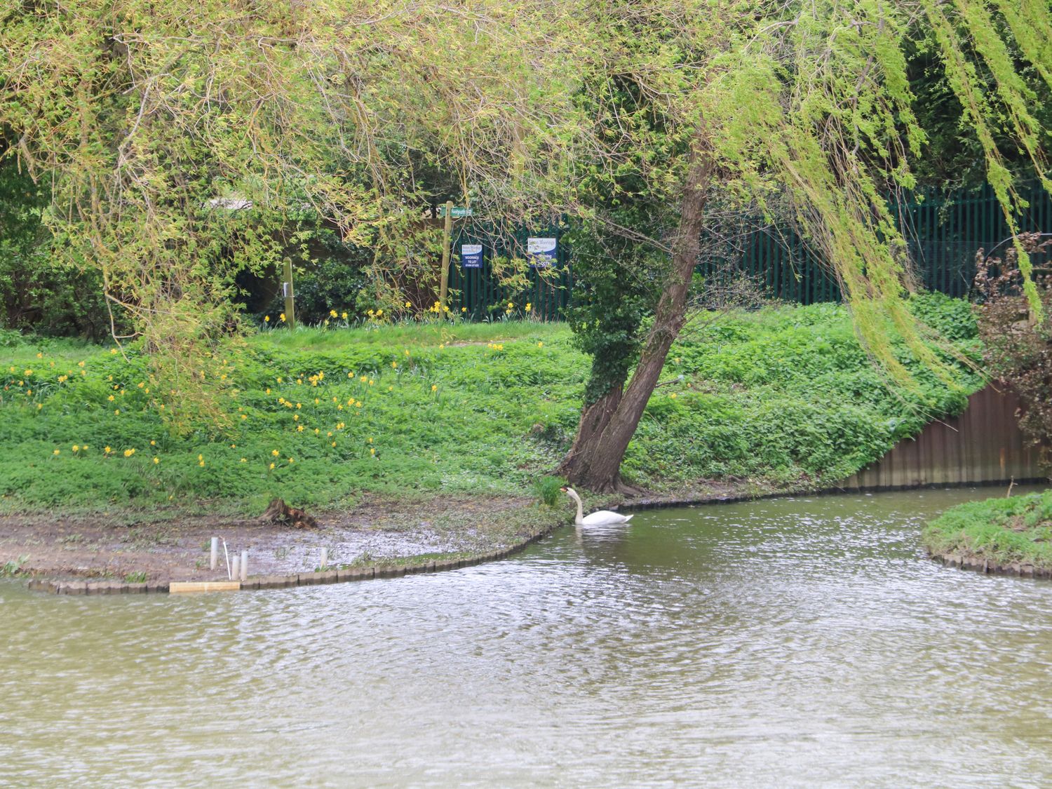 Coventina, Wraysbury 