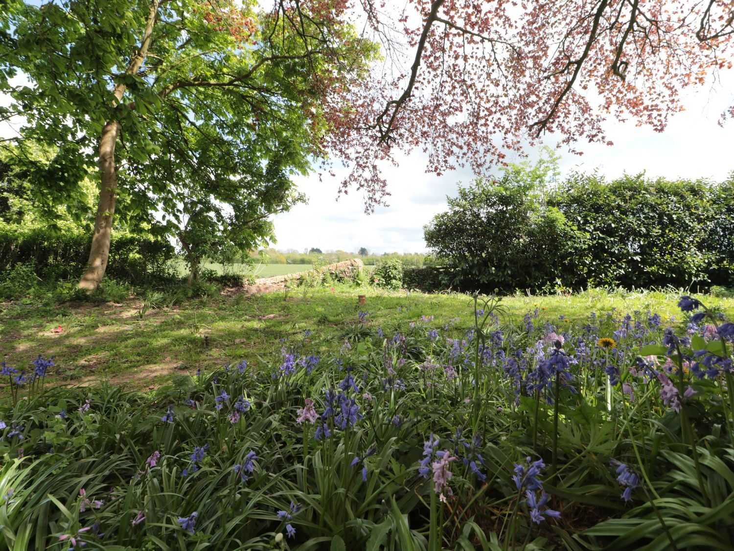 Pod, near to Taunton, Somerset. Single-storey. Romantic. Hot tub. Private decking. Off-road parking.