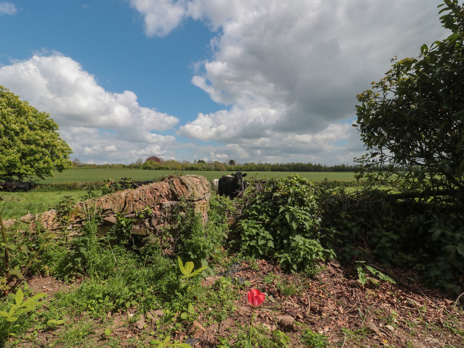 Pod, near to Taunton, Somerset. Single-storey. Romantic. Hot tub. Private decking. Off-road parking.