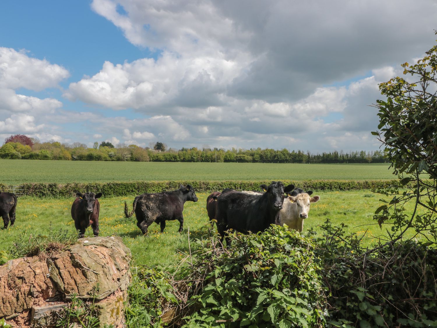 Pod, near to Taunton, Somerset. Single-storey. Romantic. Hot tub. Private decking. Off-road parking.