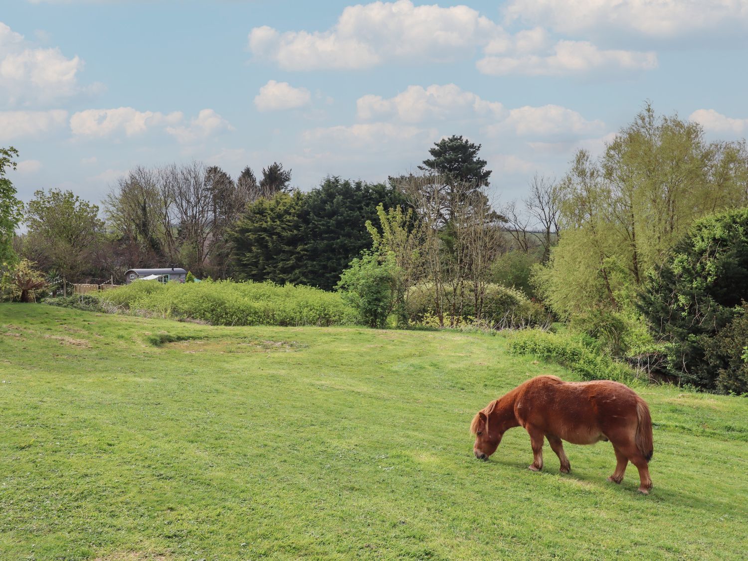 Burr 2 Shepherds Hut, Swimbridge near Barnstaple, Devon. Hot tub. Off-road parking. Open-plan. Fire.