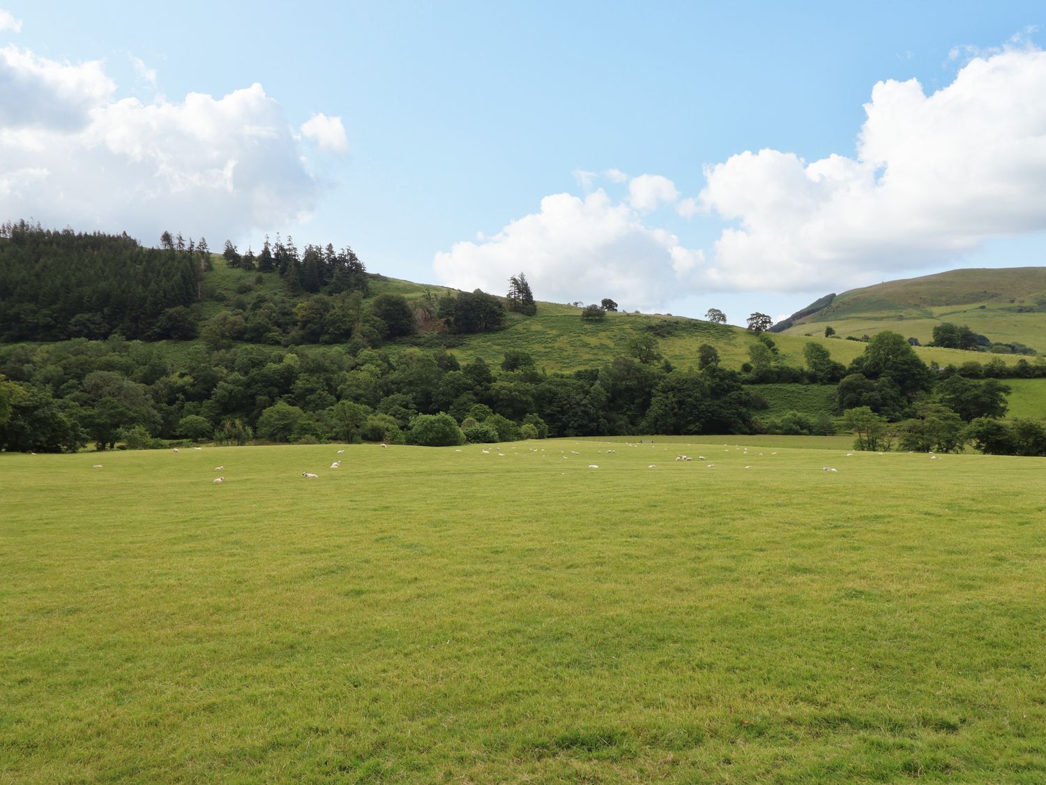 Bwthyn Camlan, Dinas Mawddwy