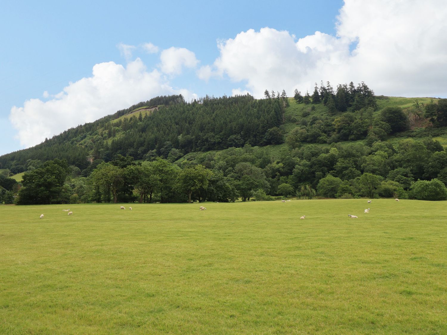 Bwthyn Camlan, Dinas Mawddwy