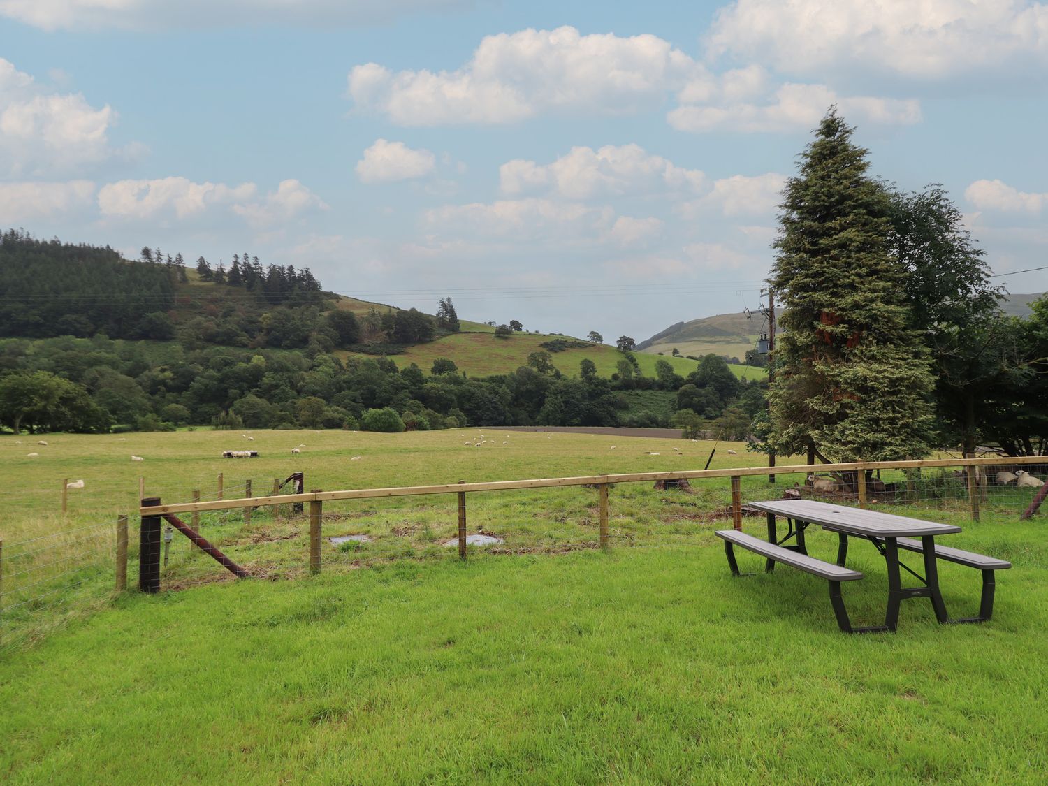 Bwthyn Camlan, Dinas Mawddwy