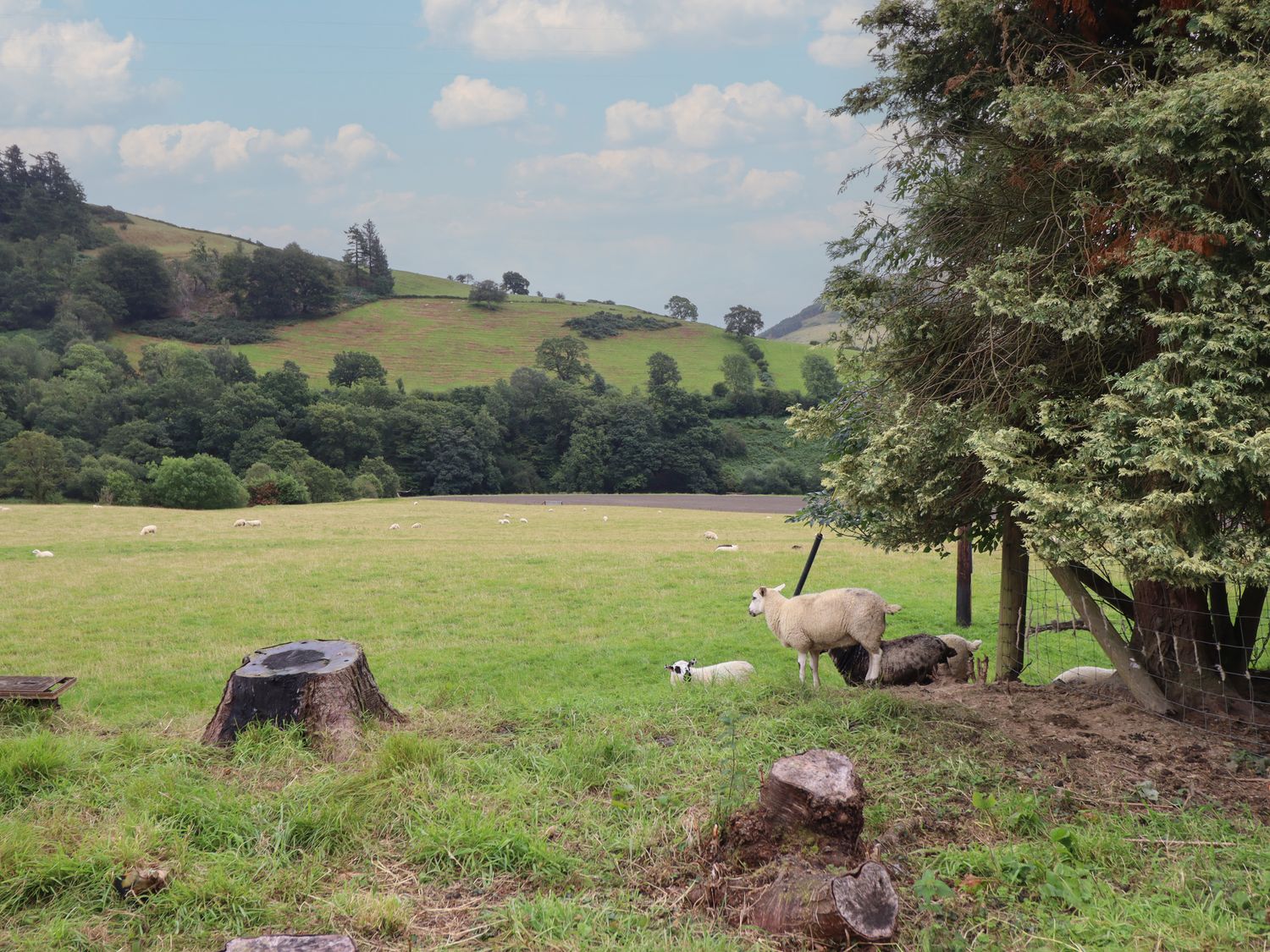 Bwthyn Camlan, Dinas Mawddwy