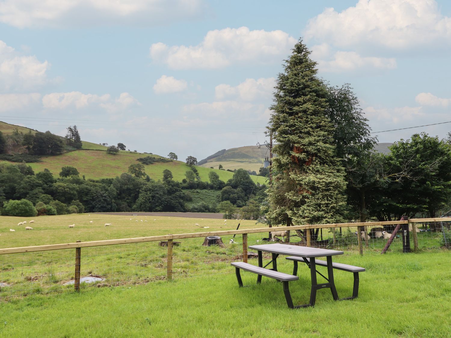 Bwthyn Camlan, Dinas Mawddwy