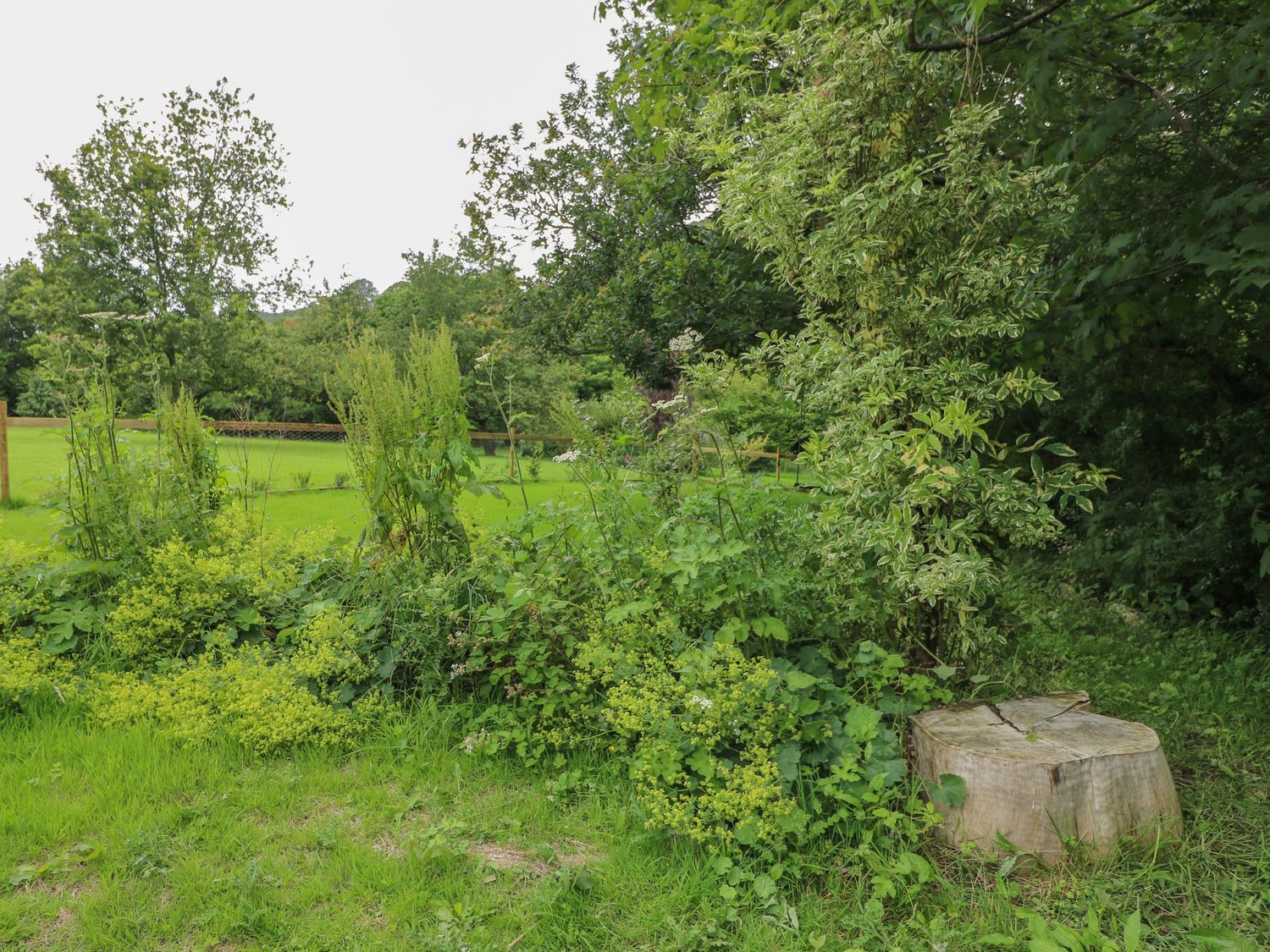 Field View, Llanybydder, Carmarthenshire. Off-road parking. Pet-friendly. Hot tub. Countryside views