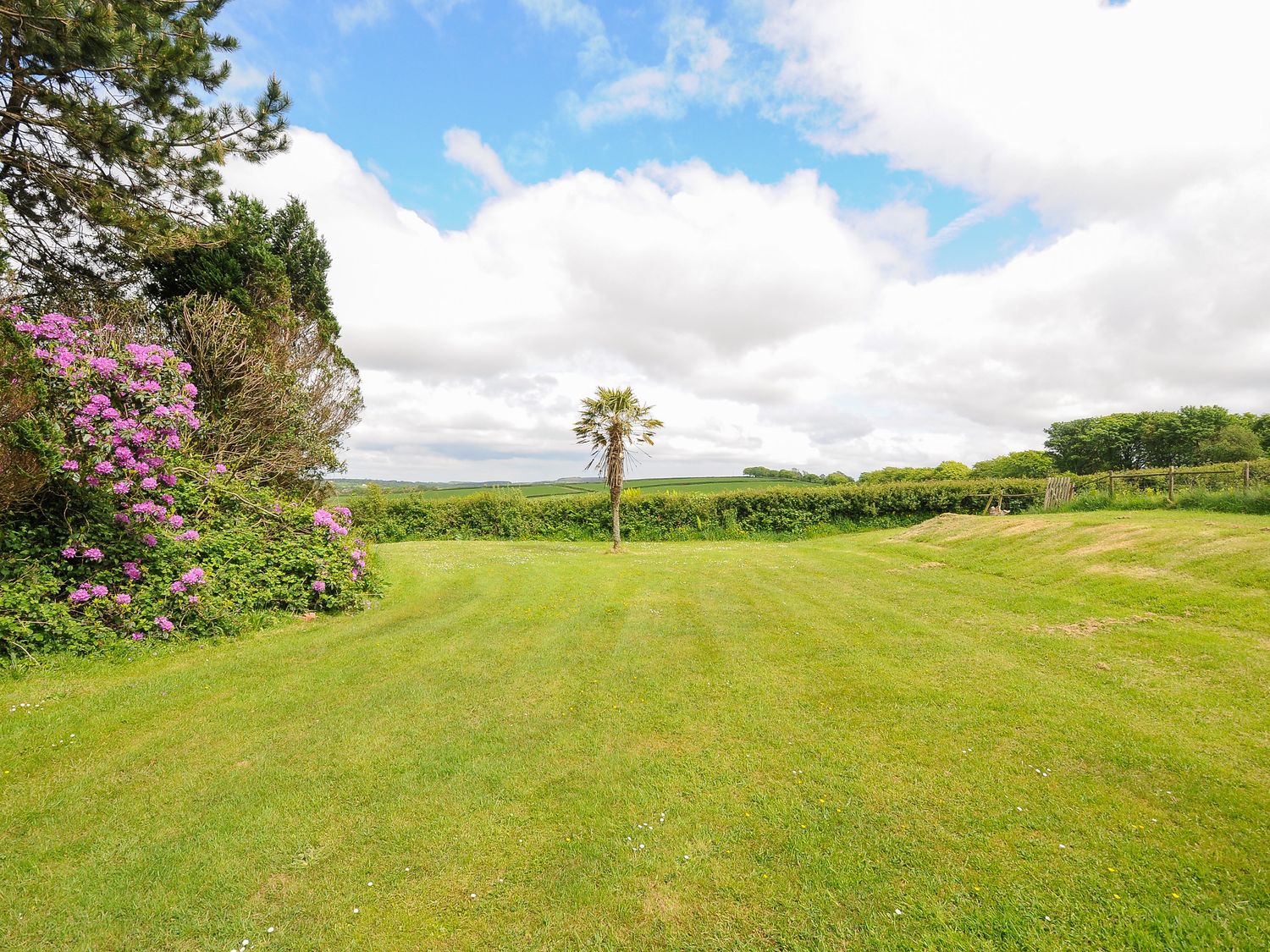 Bluebell at Moorhead Country Holidays, Moorhead Farm, near Woolfardisworthy, Devon. Two pets allowed