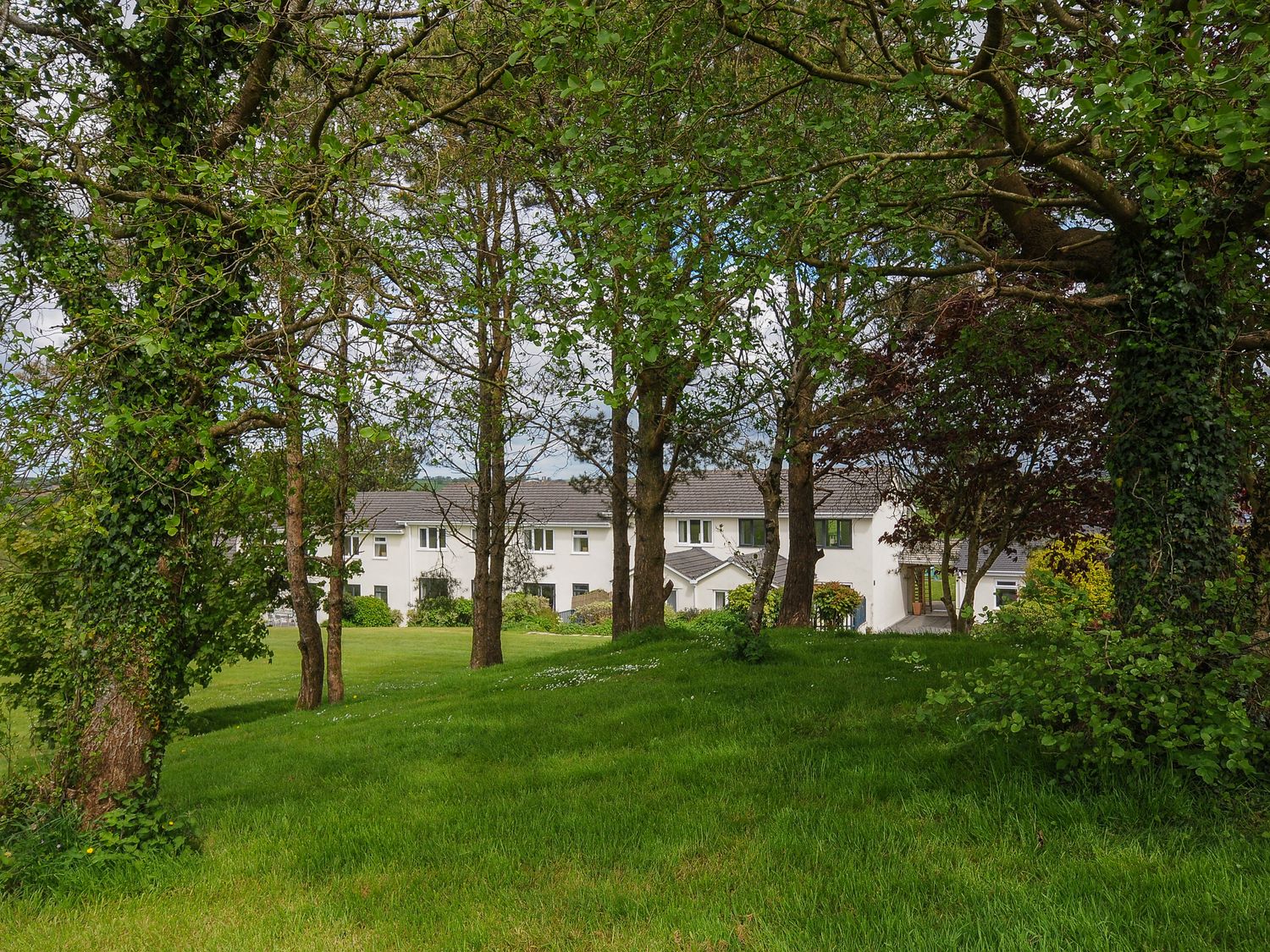 Bluebell at Moorhead Country Holidays, Moorhead Farm, near Woolfardisworthy, Devon. Two pets allowed