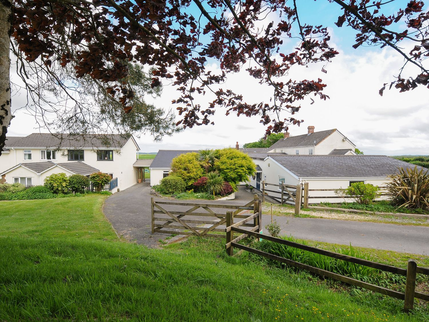 Bluebell at Moorhead Country Holidays, Moorhead Farm, near Woolfardisworthy, Devon. Two pets allowed