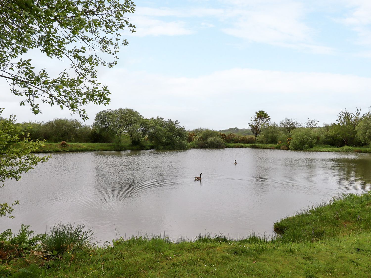 Willow at Moorhead Country Holidays near Woolfardisworthy, Devon. En-suites. Countryside view. WiFi