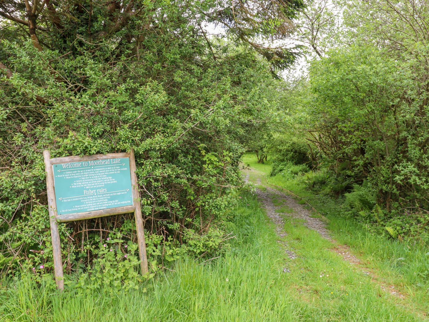 Willow at Moorhead Country Holidays near Woolfardisworthy, Devon. En-suites. Countryside view. WiFi