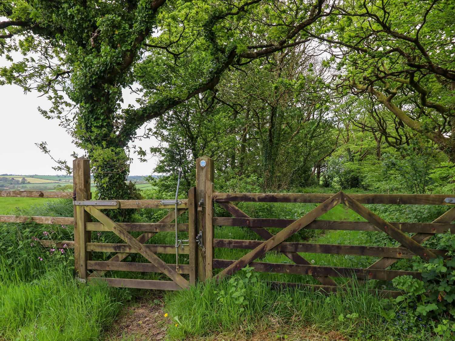 Willow at Moorhead Country Holidays near Woolfardisworthy, Devon. En-suites. Countryside view. WiFi