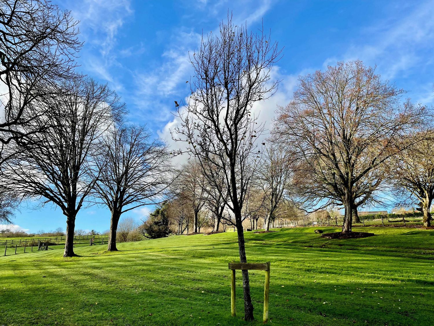 Deer Park Lodge 8 - Fawn Lodge, Chudleigh, near Chudleigh, Devon. Close to a National Park. On-site.