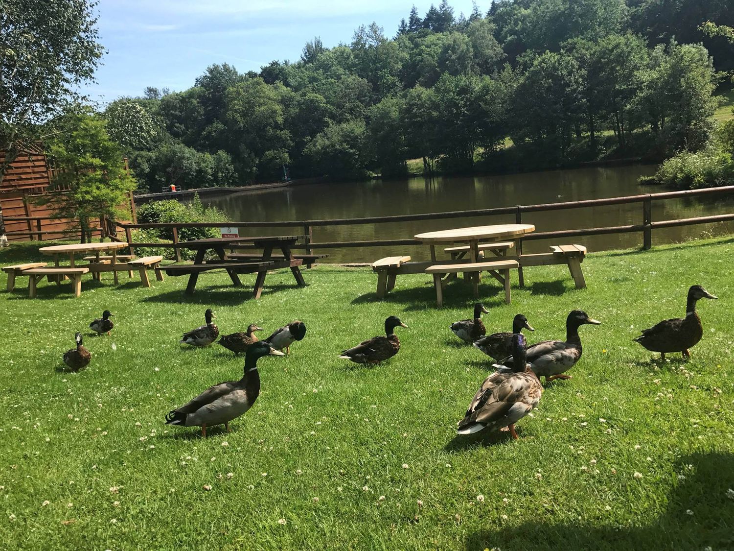 Deer Park Lodge 8 - Fawn Lodge, Chudleigh, near Chudleigh, Devon. Close to a National Park. On-site.