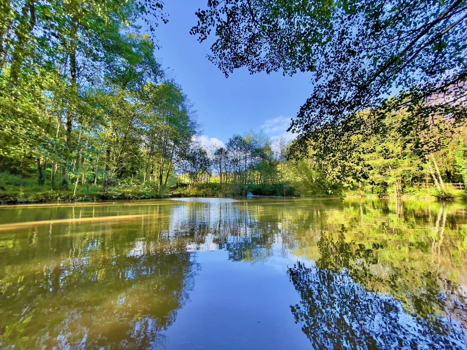 Lodge 45 - Lazy Bear, near Chudleigh in Devon. On-site facilities. Open-plan. Pet-friendly. Hot tub.