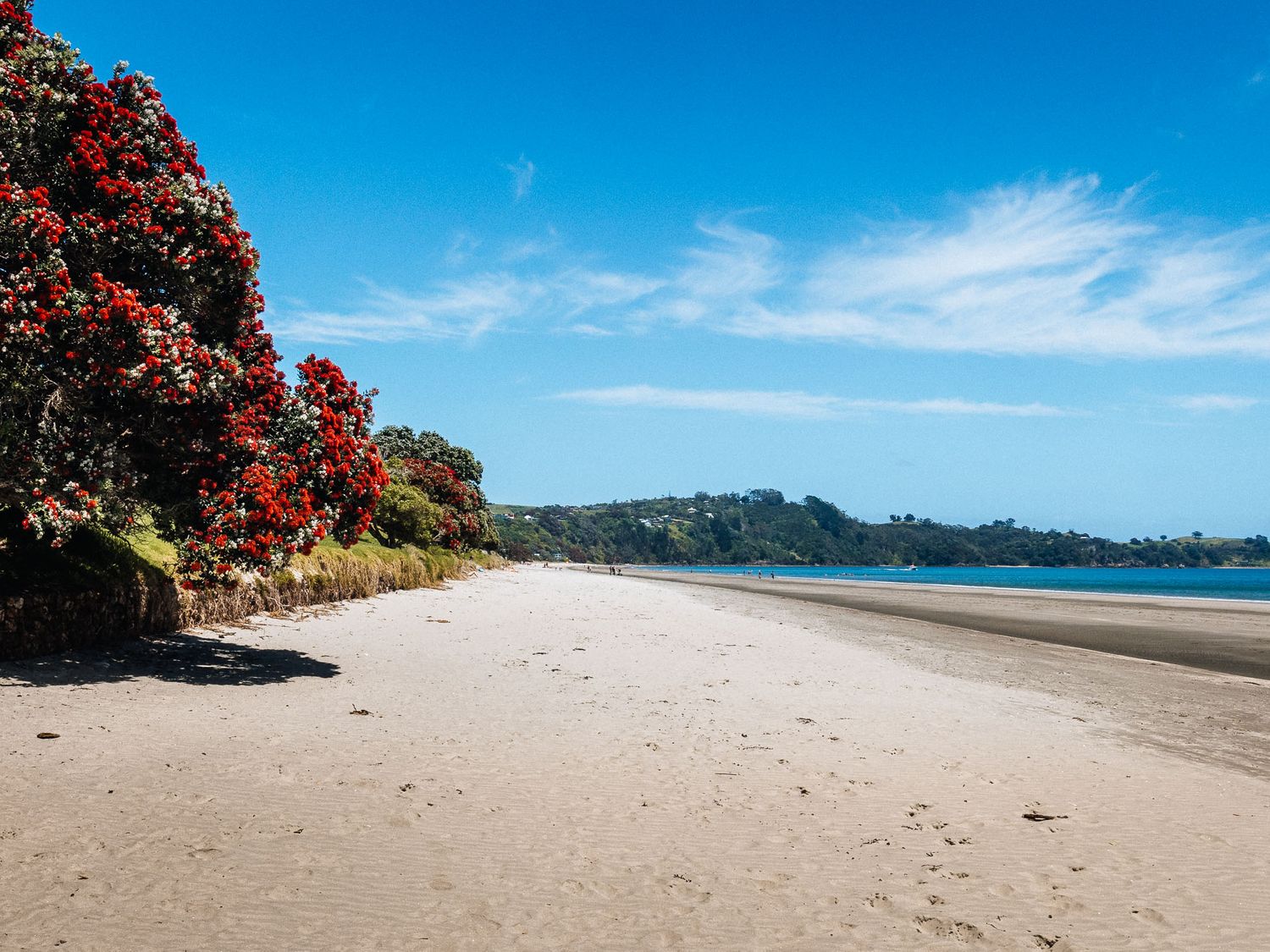 Sweet Hartley - Onetangi Holiday Home                     photo 2