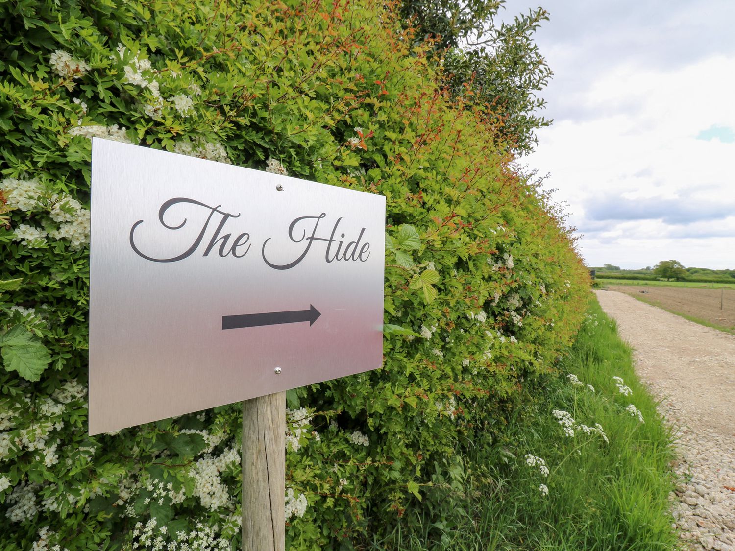 The Hide, Mersea Island