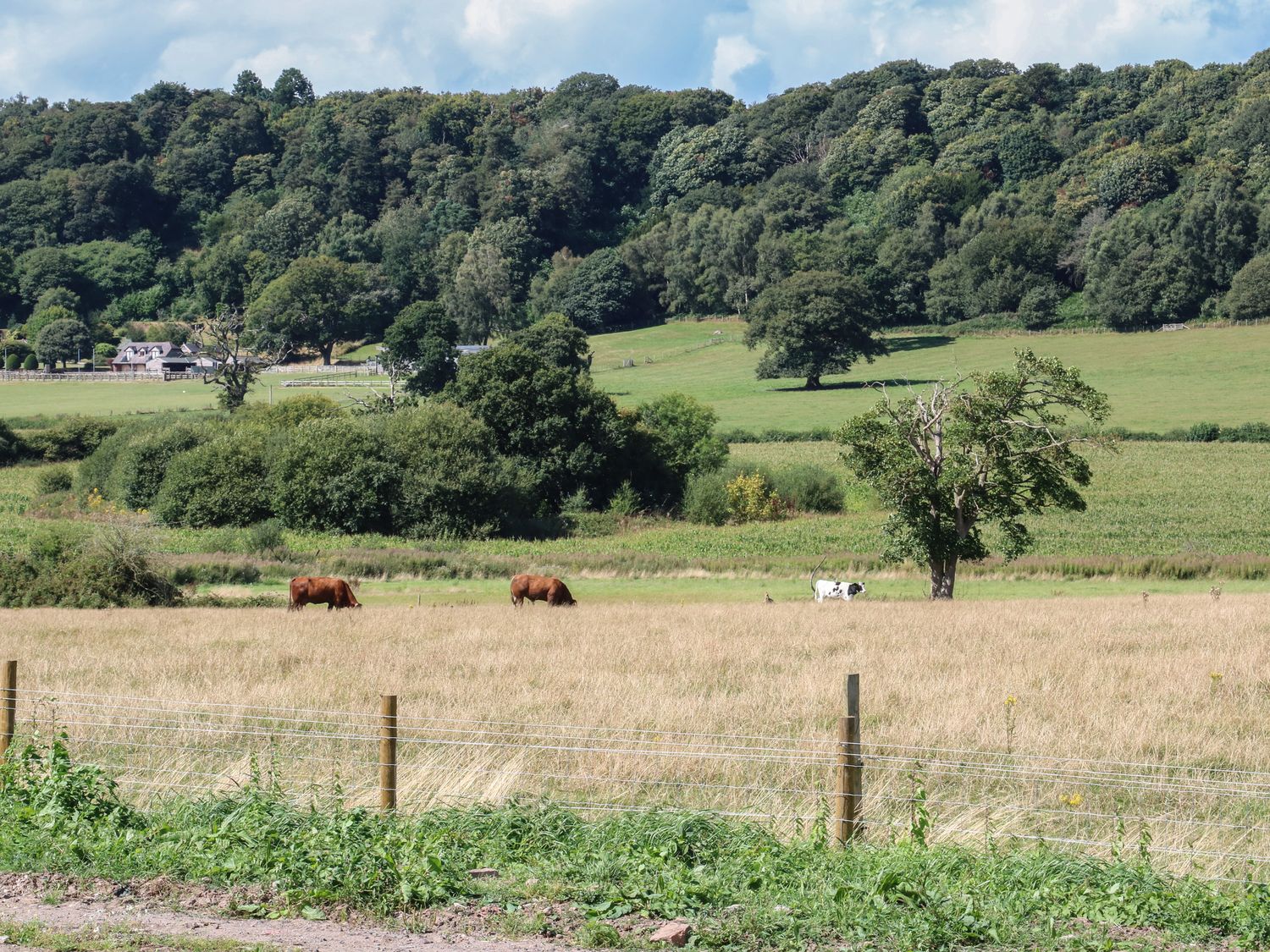 Paradise, Kenstone, near Hodnet, Shropshire. Hot tub. Fire pit. Decking. Parking. Smart TV. Romantic