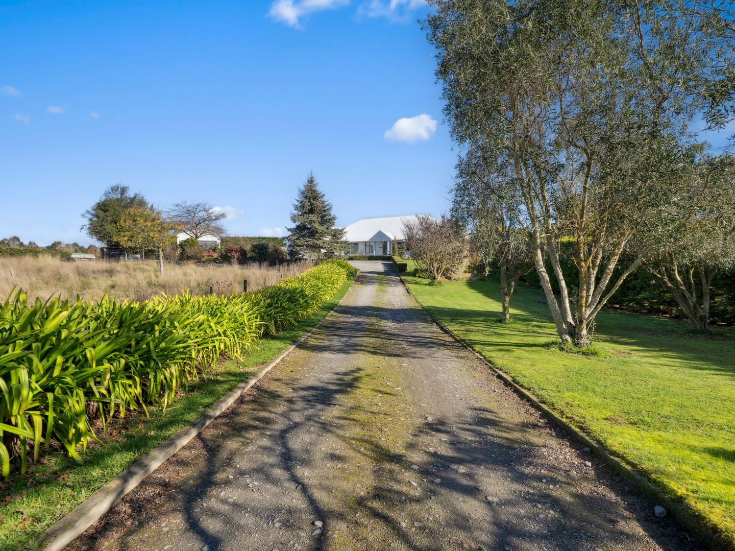 Killeigh - Martinborough Holiday Home                     photo 34