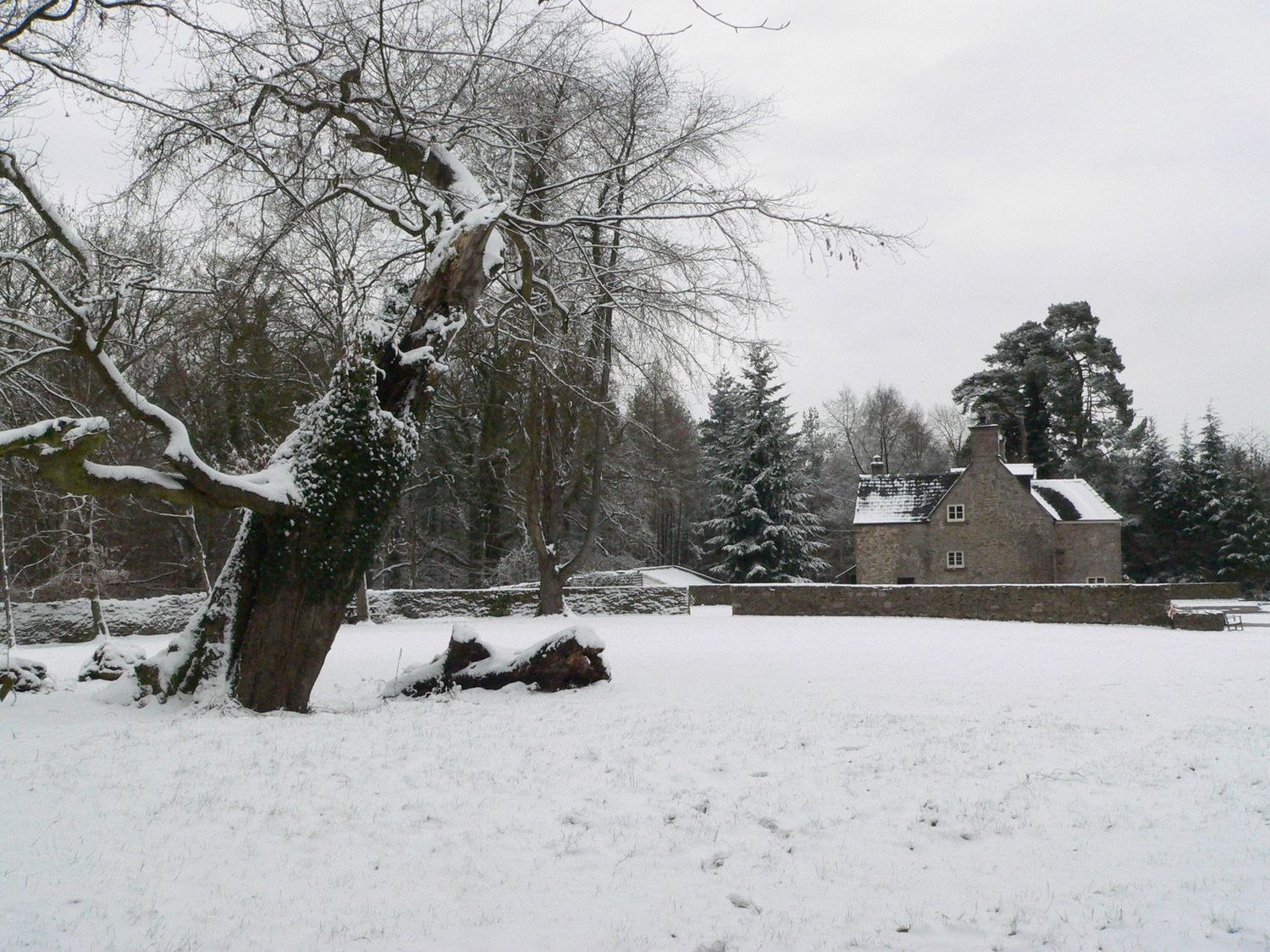 Danby Lodge, Yorkley, Gloucestershire. Swimming pool. Pet-friendly. Library. Cinema room. 6 bedrooms