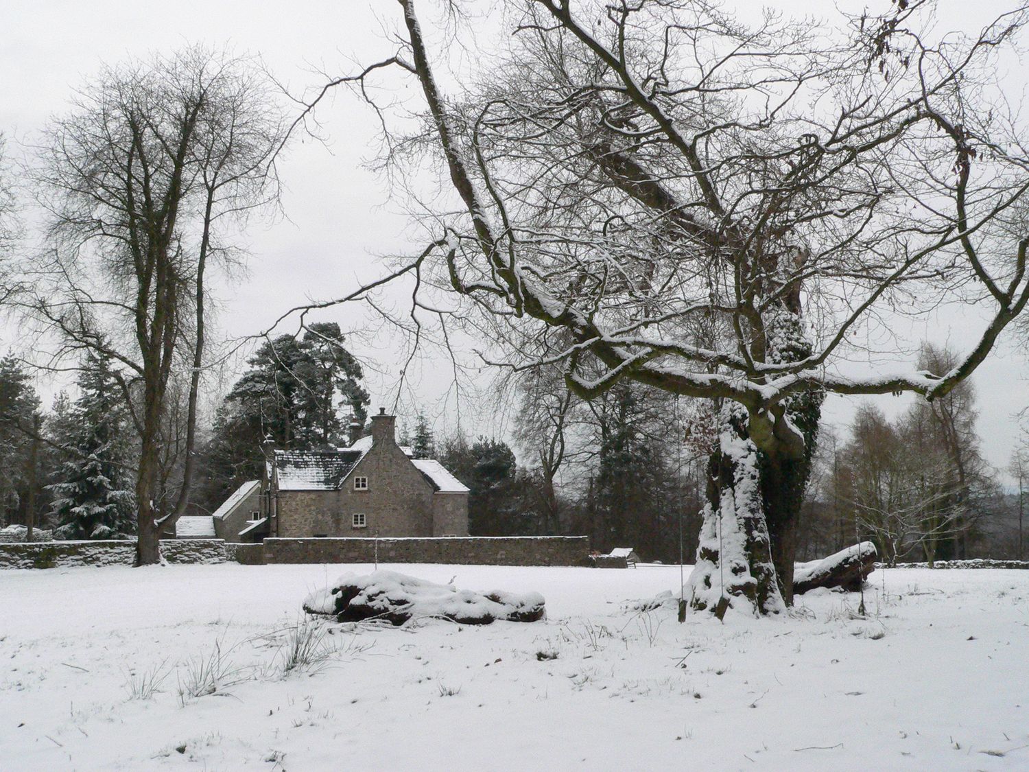 Danby Lodge, Yorkley, Gloucestershire. Swimming pool. Pet-friendly. Library. Cinema room. 6 bedrooms