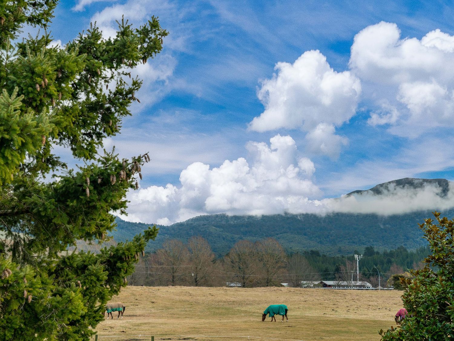 Riverside Haven - Turangi Holiday Home -  - 1161041 - photo 1