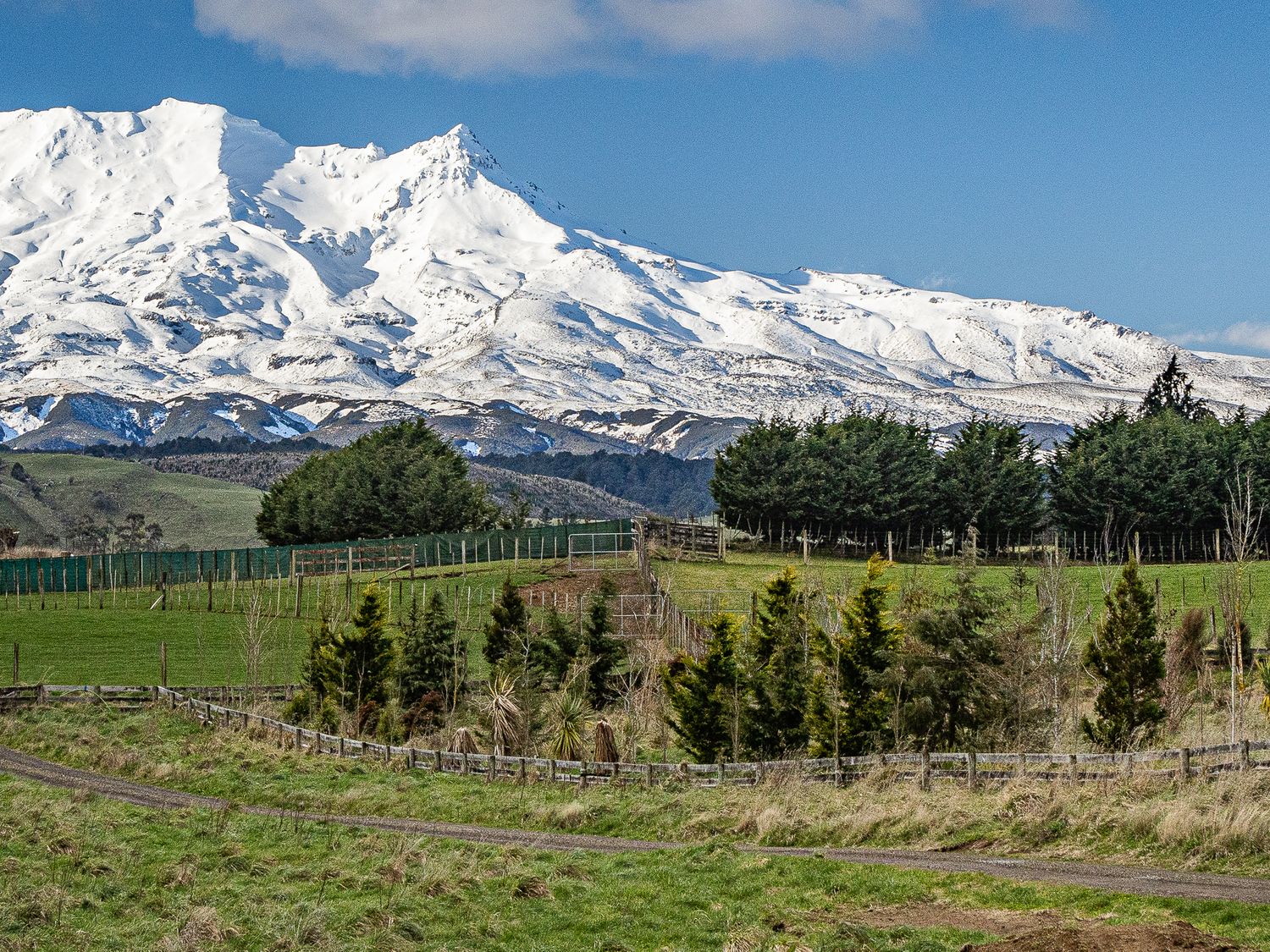 Taylor's Alpine Retreat - Ohakune Holiday Home -  - 1161175 - photo 1