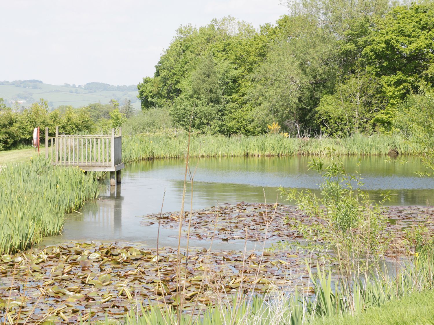 Woodside Cottage, Kerry Powys. Hot tub. Open-plan. Rural. Exposed beams. Single-storey. Pet-friendly