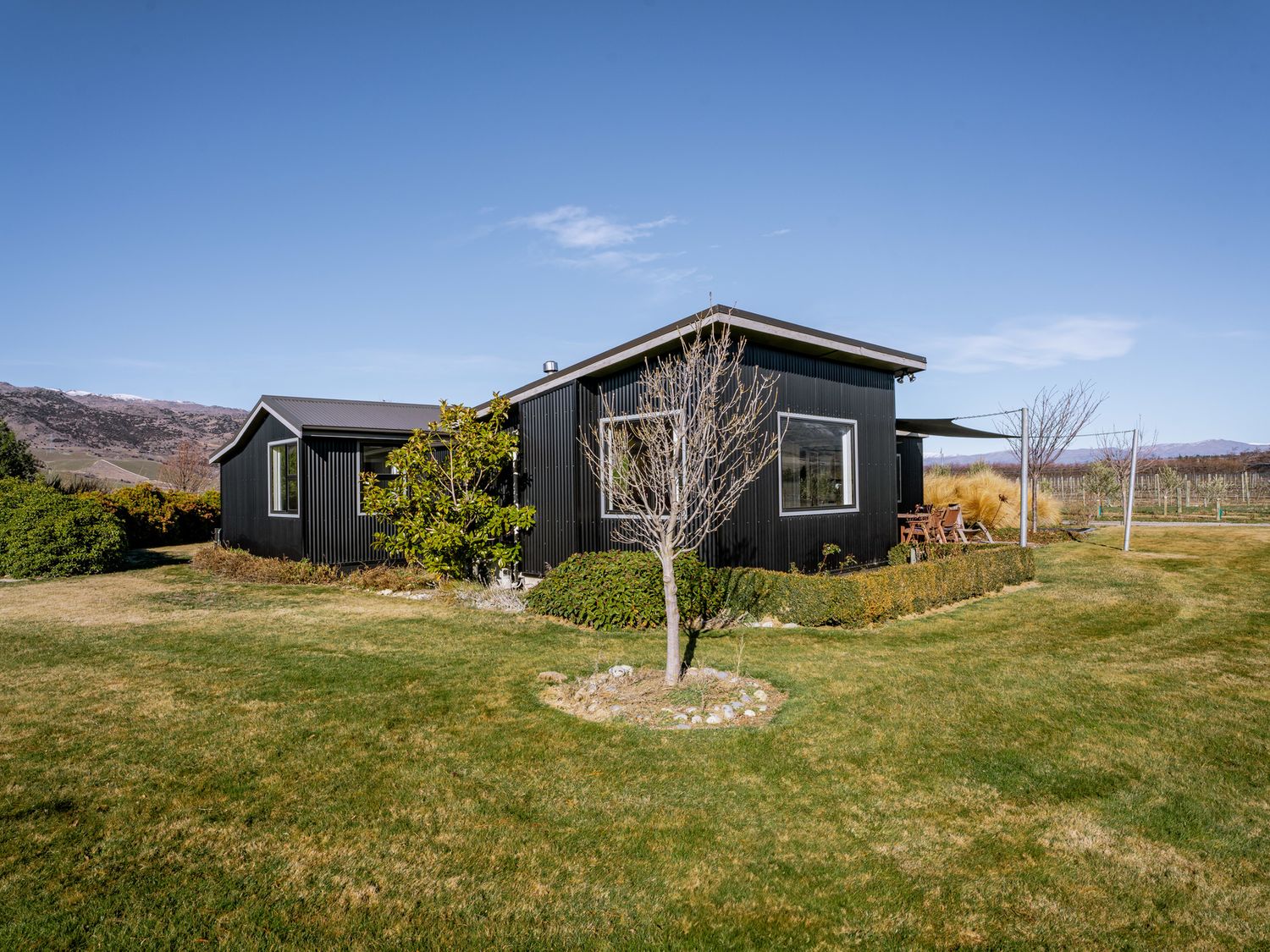 A modern black house with large windows on a grassy lawn with trees and hills in the background at Olive Cottage - Cromwell Holiday Home in Cromwell