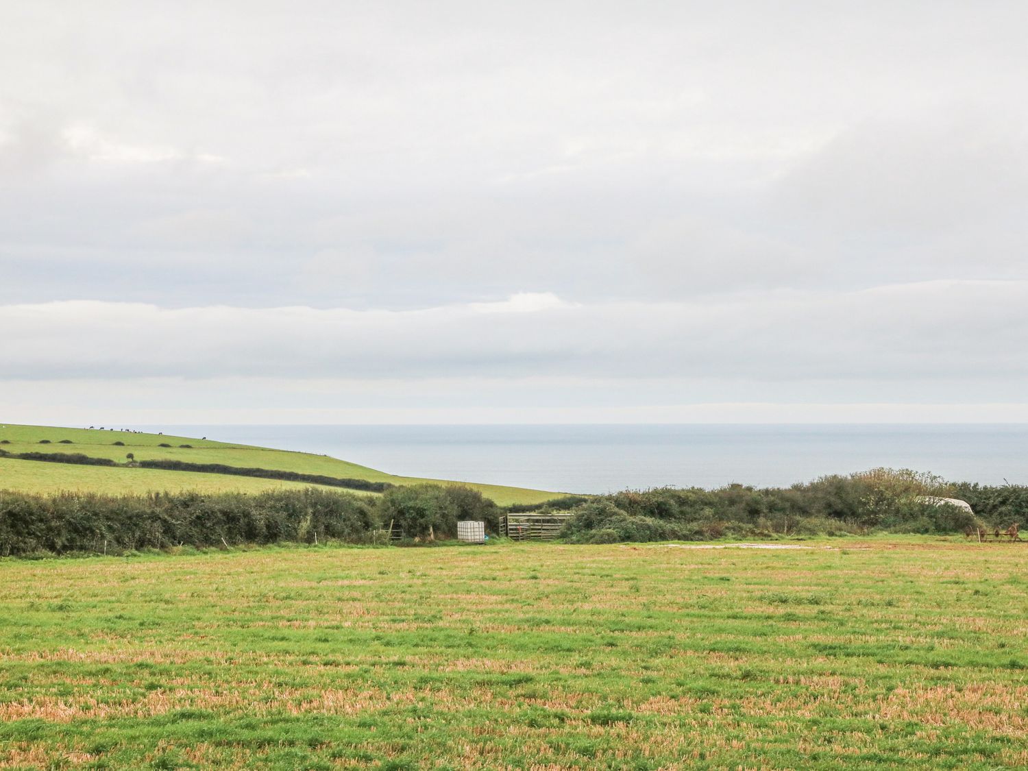 The Old Millhouse in Welcombe, Devon. Hot tub. Family friendly. Open plan. Near Welcombe Mouth beach