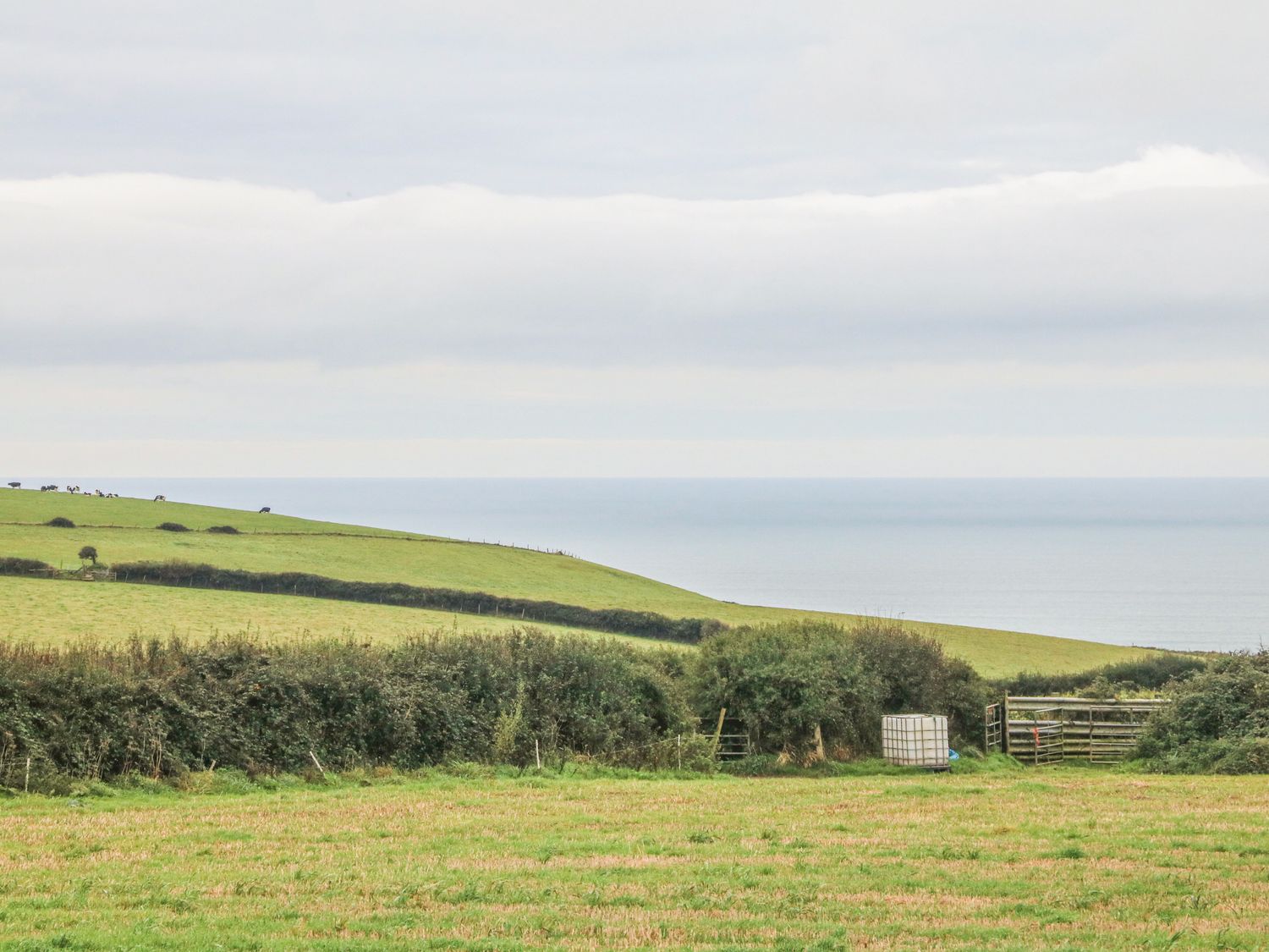 The Old Millhouse in Welcombe, Devon. Hot tub. Family friendly. Open plan. Near Welcombe Mouth beach