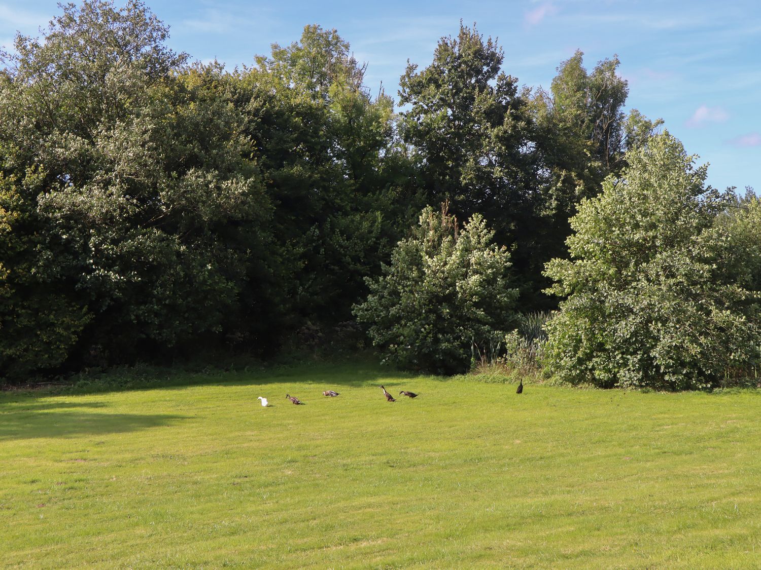 Shepherds Bliss nr Cheriton Fitzpaine, Devon. Hot tub. Romantic. Woodburning stove. Open-plan. WiFi.