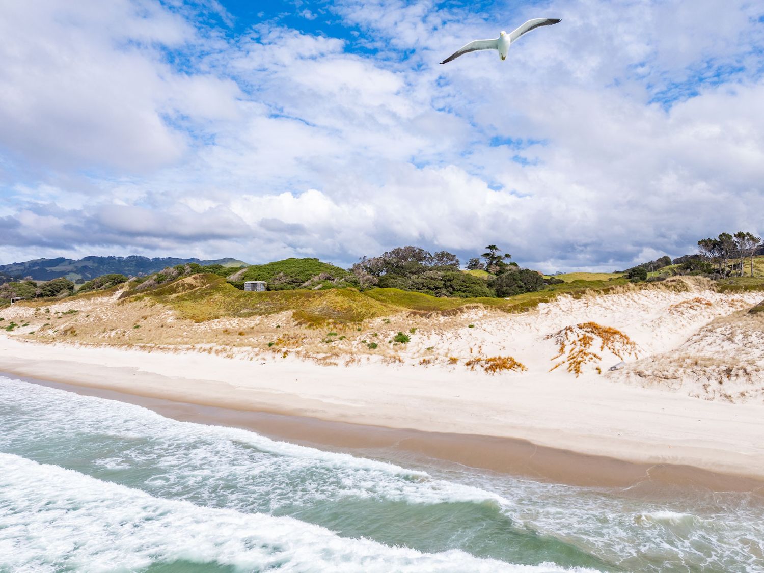 Seaview and Pohutukawa - Pakiri Beach Retreat -  - 1163132 - photo 1