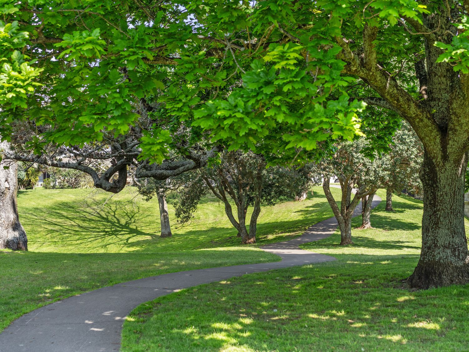 Relax At Ranch - Mount Maunganui Holiday Home                     photo 18