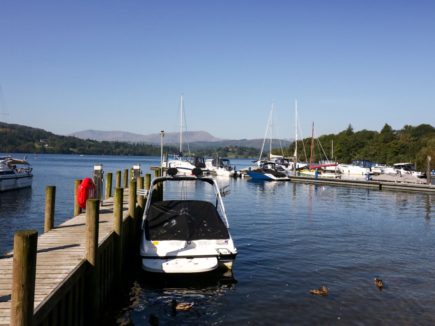 Somerford lodge nr Windermere, Cumbria. Decking. Hot tub. On-site facilities. In the Lake District. 