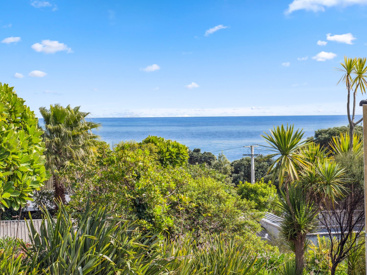 Cedar By Surf - Whale Bay Raglan Holiday Home -  - 1163873 - photo 1