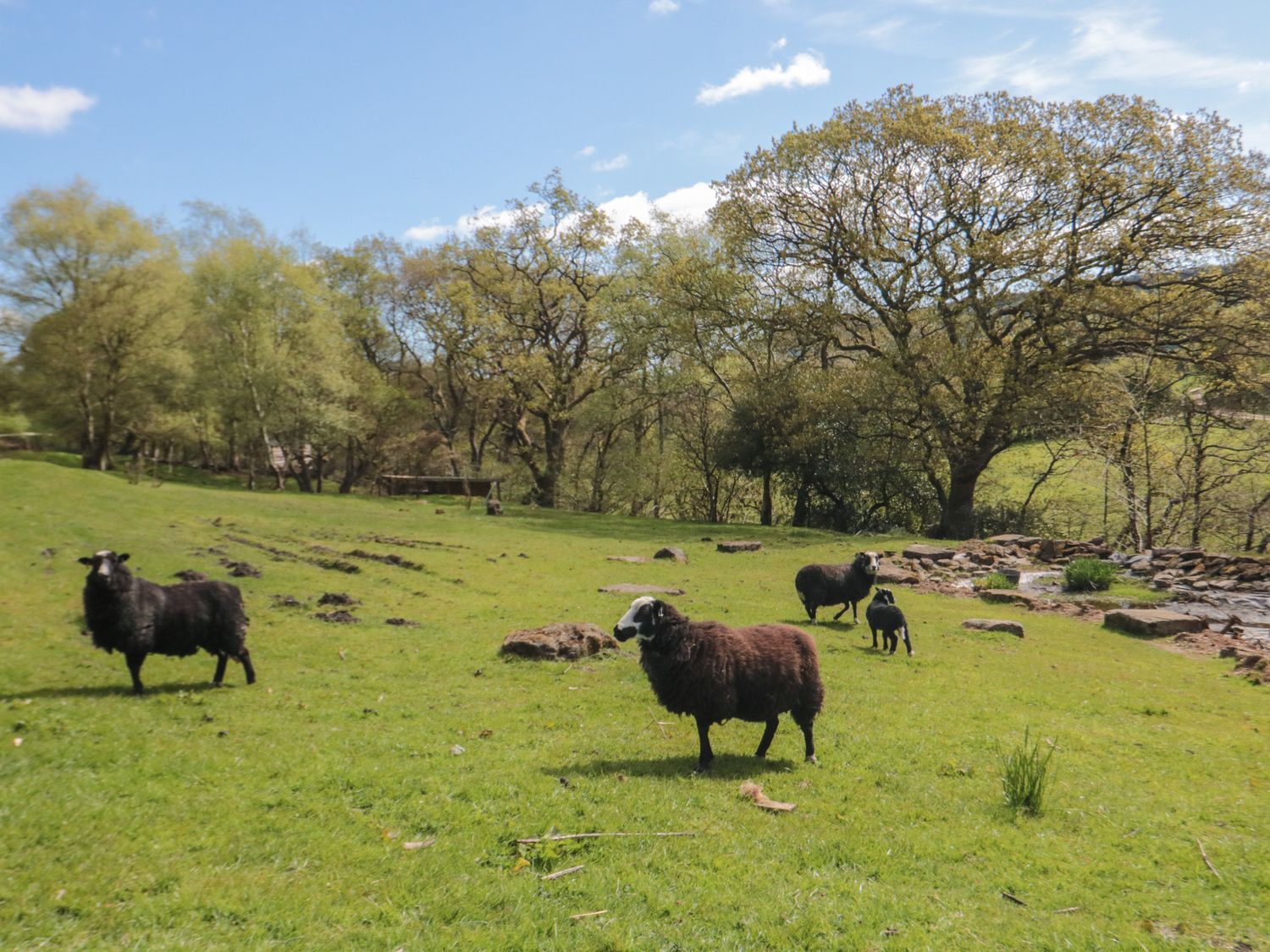 Thompson Rig House, Thornton-Le-Dale