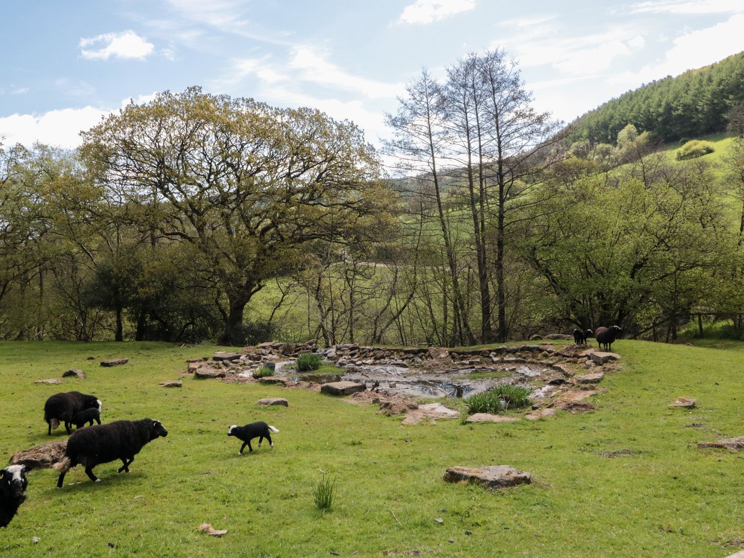 Thompson Rig House, Thornton-Le-Dale