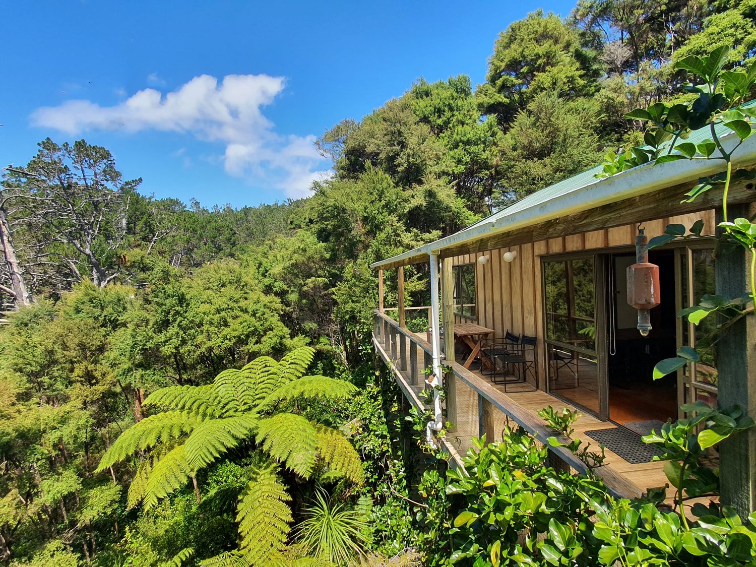 The Weka House - Kawau Island Holiday Home -  - 1164325 - photo 1