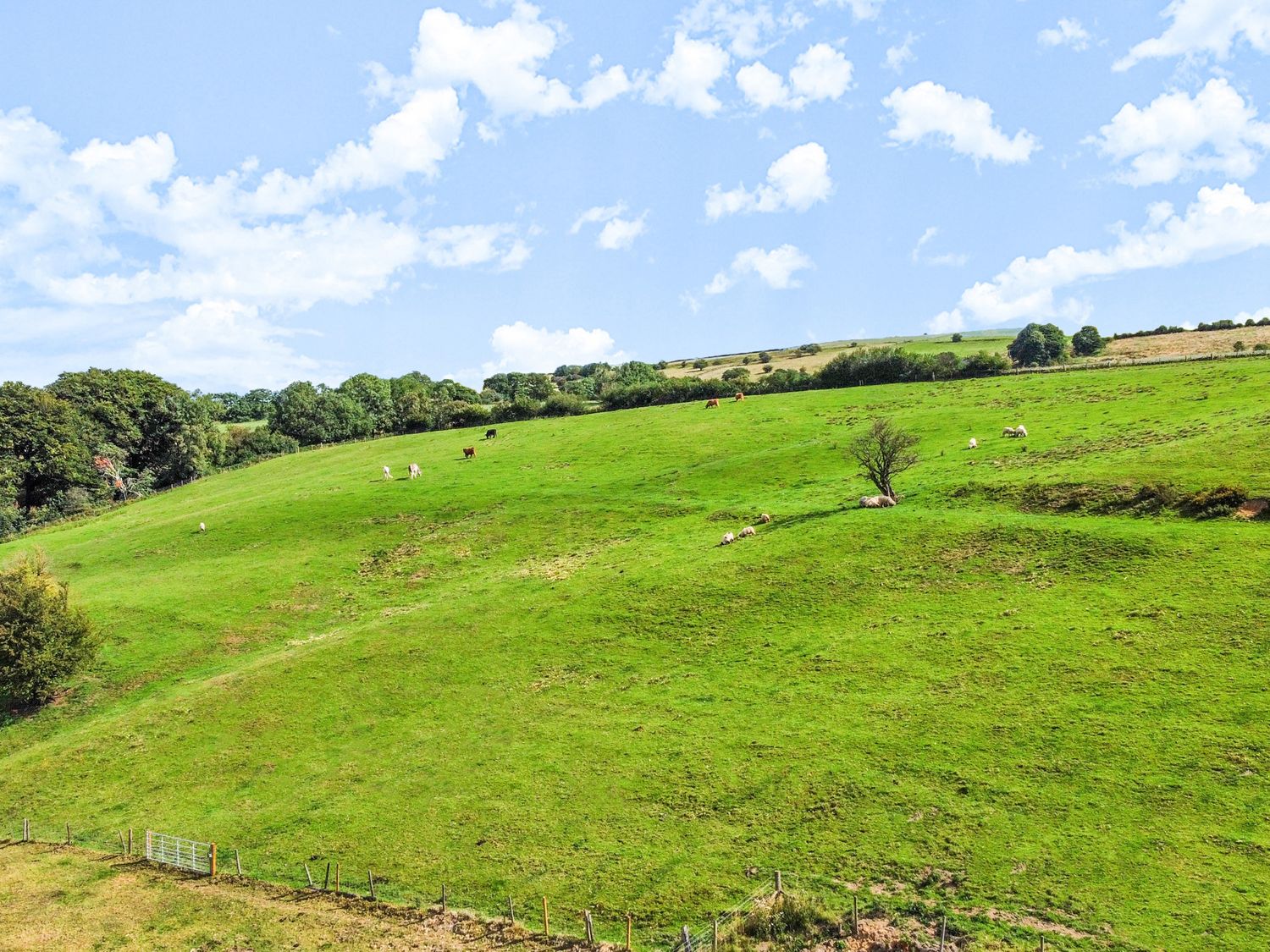 Pastures Barn, Bradnop, Leek, Staffordshire. Woodburning stove. Sauna. Hot tub. Pet-friendly. Games.