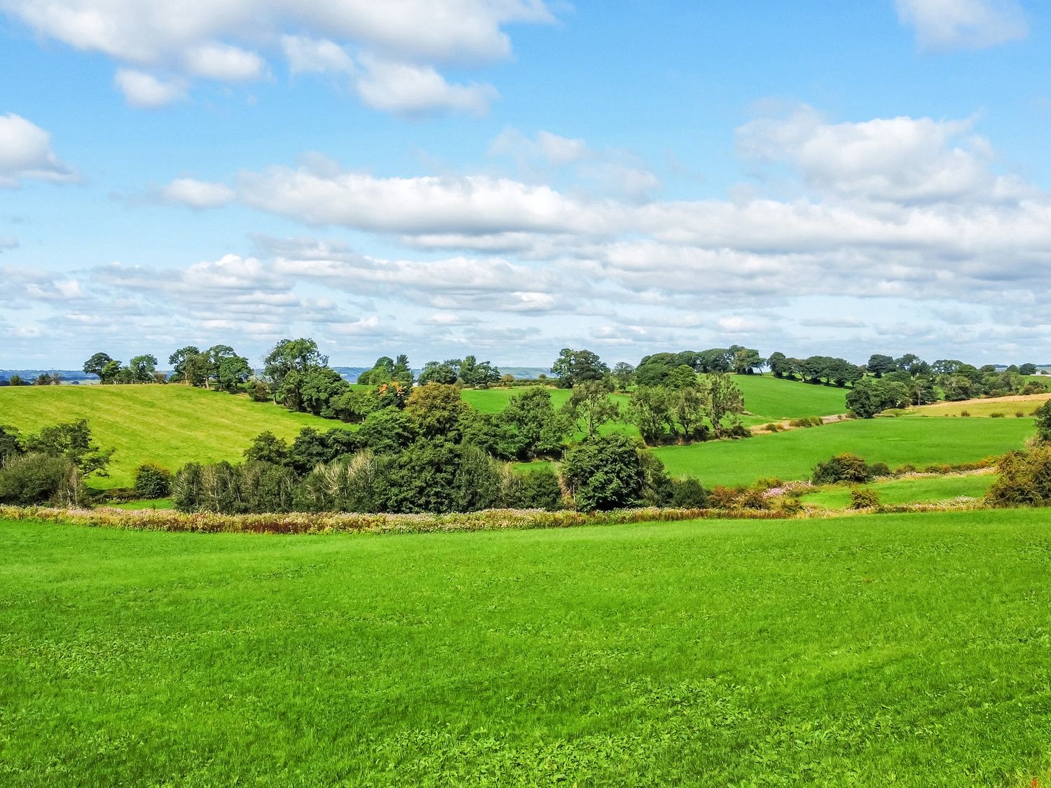 Pastures Barn, Bradnop, Leek, Staffordshire. Woodburning stove. Sauna. Hot tub. Pet-friendly. Games.