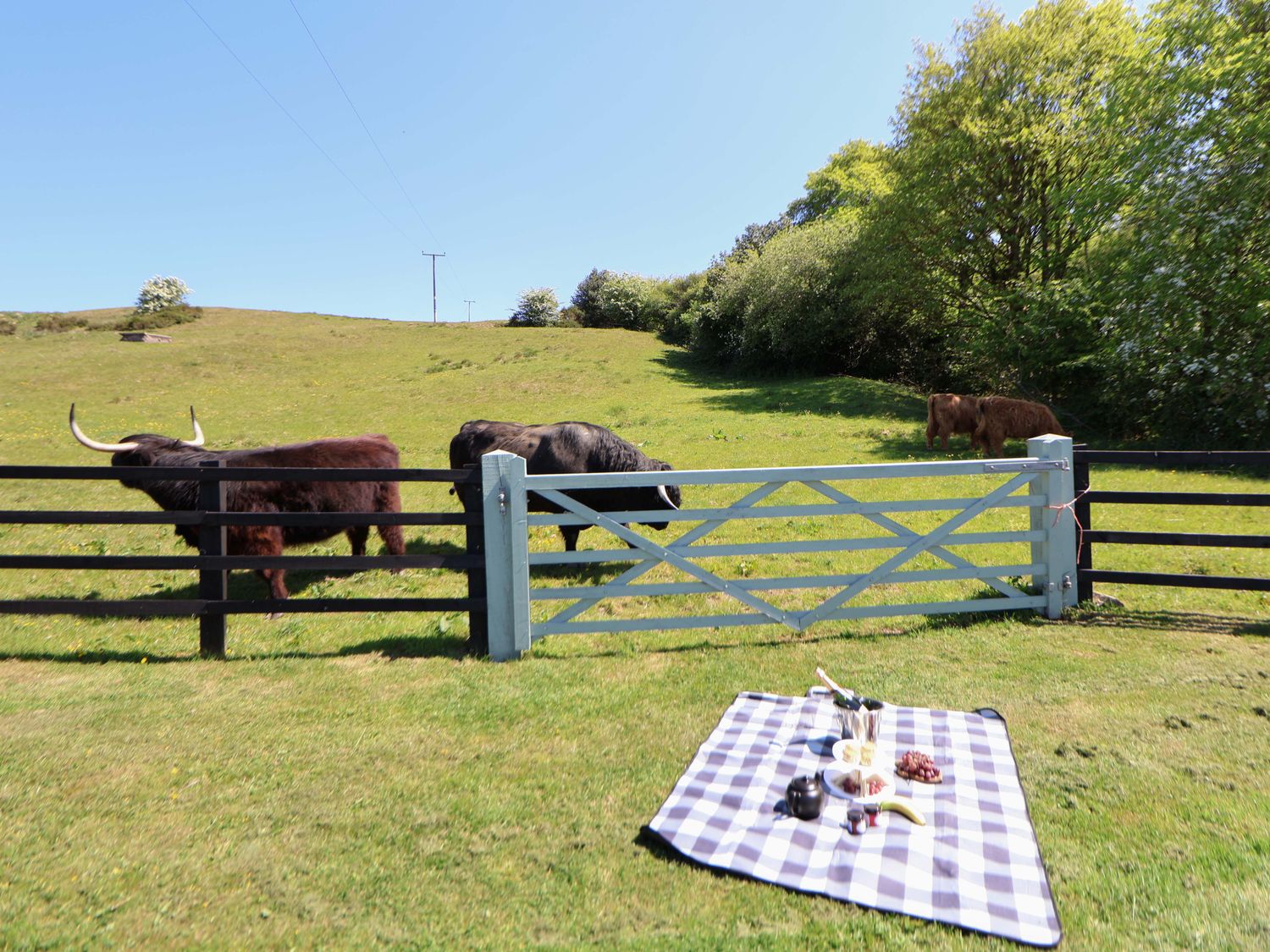 Holly Dale in Bradnop, near Leek, Staffordshire. Woodburning stove. Hot tub. Sauna. Barbecue. Rural.
