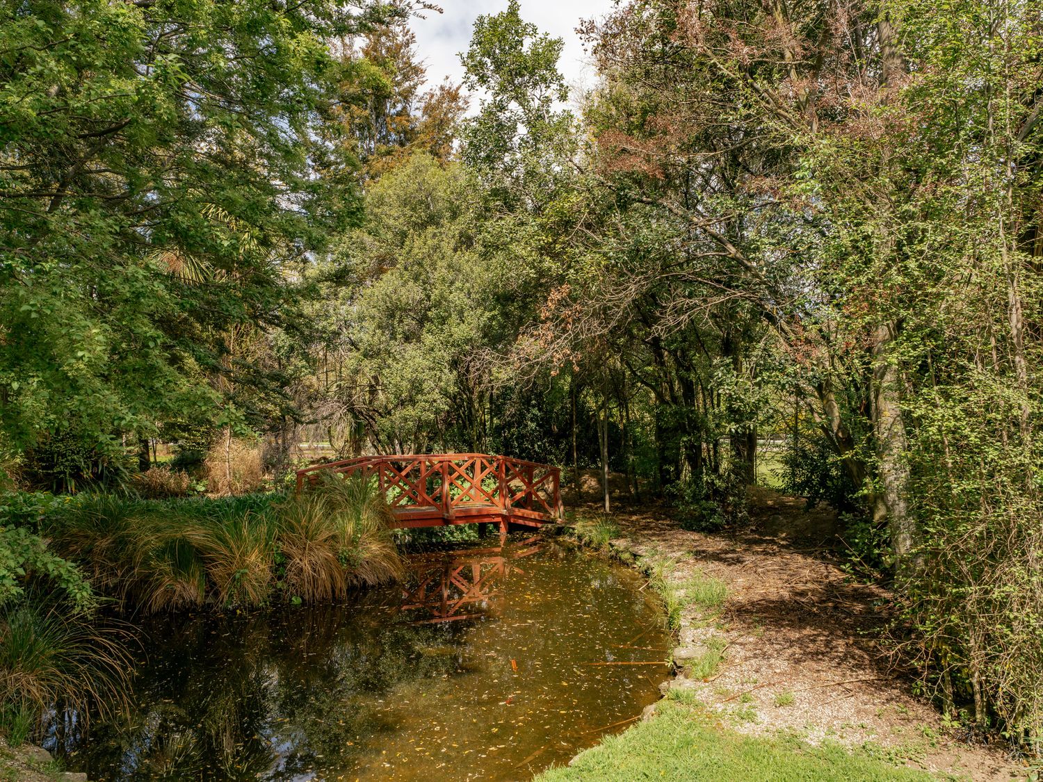Caledonia - Earnscleugh Holiday Home                     photo 26