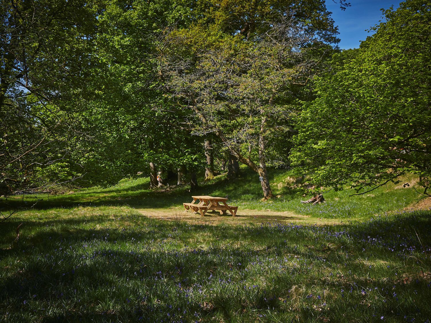 Eskdale Retreat with hot tub, amongst 10 acres of meadow and woodland in Boot, nr Holmrook, Cumbria.