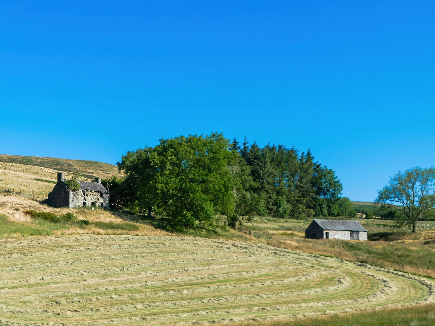 Coach House, Llanwrtyd Wells