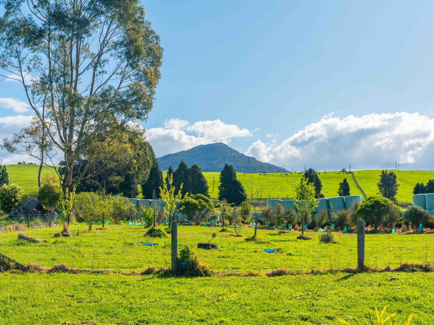 Lush Escape - Lake Taupo Holiday Home -  - 1164785 - photo 1