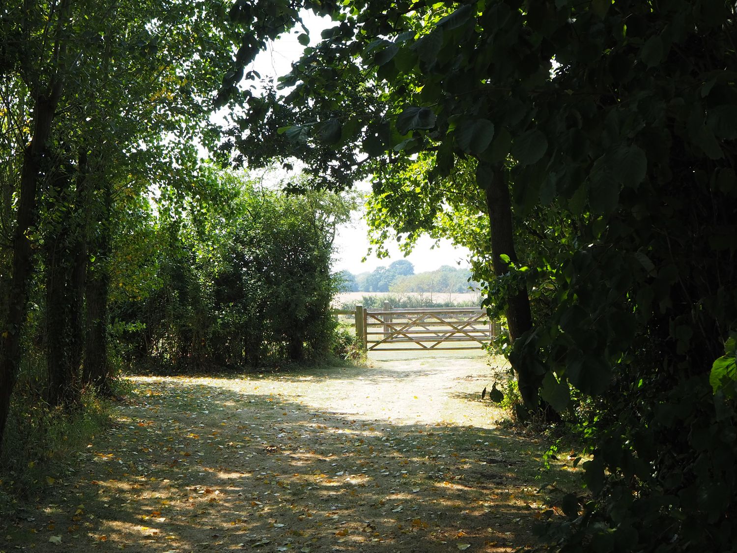 Cedar Cottage, Ilketshall St. Margaret, Bungay, Suffolk. Hot tub. Ground-floor living. Pet-friendly.